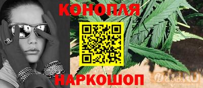 сатива Бузулук