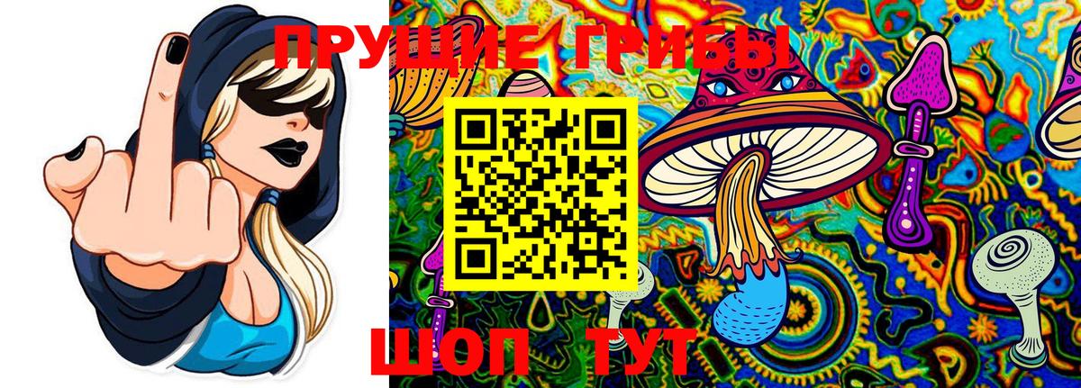 Галлюциногенные грибы Psilocybe Лесозаводск