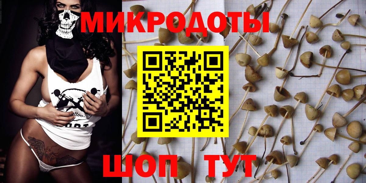 Псилоцибиновые грибы GOLDEN TEACHER  даркнет сайт  Лесозаводск  Вход с VPN 